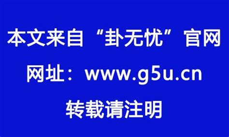 1982年出生|1982年属什么生肖的命 1982年属狗是什么命